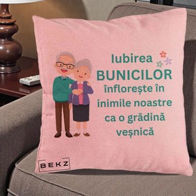 Cadou pentru Bunici - Perna Personalizata Bunicii Iubirea Infloreste Cuplu Senior Teal, 40x40 cm, Roz, Husa Detasabila, Perna Inclusa, BEKZ®