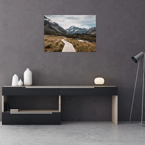 Tablou pe sticlă - Poteca în valea muntelui Mt. Cook (70x50 cm)