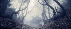 Tablou - Pădurea în ceață (120x50 cm)