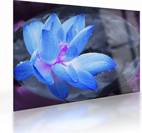 Tablou pe sticlă florilor în detailu (70x50 cm)