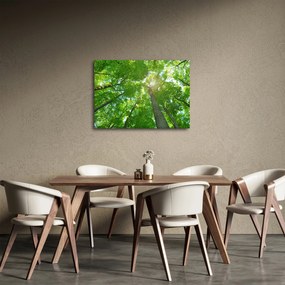 Tablou - Lunca (70x50 cm)