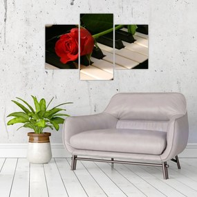 Tablou - Pian și trandafiri (90x60 cm)