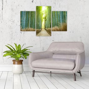 Tablou - Strada cu bambuși (90x60 cm)