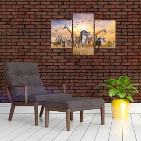 Tablou - Animae din Africa (90x60 cm)