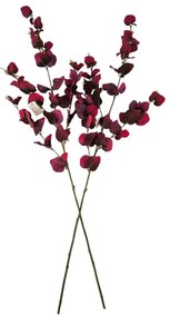 Set de ramuri de eucalipt de toamnă, 95 cm, 2bucăți