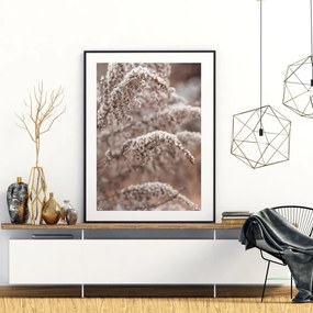 Poster - Florile plantei (A4)