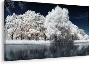 Tablou - Albă ca Zăpada Albă ca Zăpada Copaci (90x60 cm)