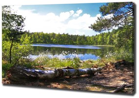 Pictură pe pânză Panorama de pădure