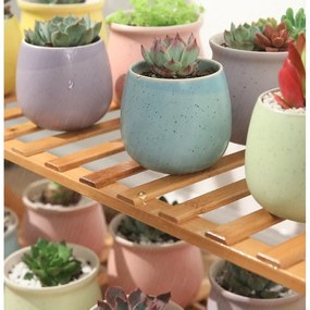 Suport pentru flori din bambus cu scară - 4 rafturi practice