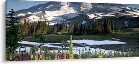 Tablou - Muntele Rainier (120x50 cm)