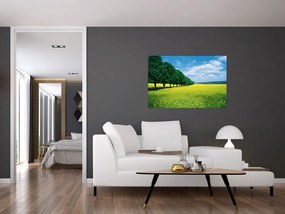 Tablou - Câmp cu alei (90x60 cm)