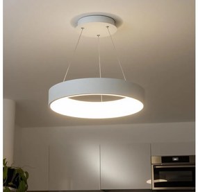 Lustră LED dimabilă pe cablu Brilagi FALCON LED/80W/230V 3000-6500K + telecomandă