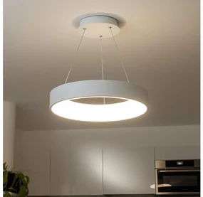 Lustră LED dimabilă pe cablu Brilagi FALCON LED/80W/230V 3000-6500K + telecomandă