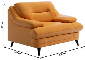 Fotoliu din piele, la comandă, piele pampas Amber M9030, LIBERA NEW