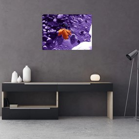 Tablou - Plaja mării (70x50 cm)