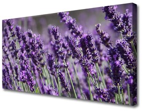 Tablou pe panza canvas Flori Floral violet