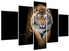 Tablou - Tiger (150x105 cm)