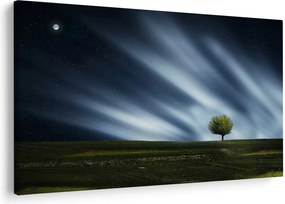 Tablou -Aurora boreală (90x60 cm)