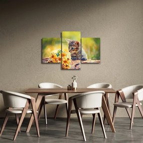 Tablou cu pisicuța uitându-se la floare (90x60 cm)
