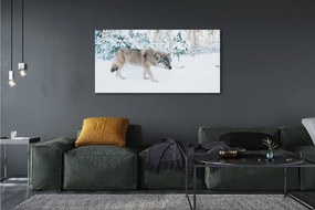 Tablouri canvas pădure de iarnă Wolf