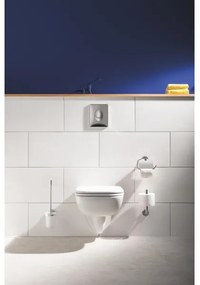 GROHE 41185000 - Set pentru curățarea WC-ului, crom lucios