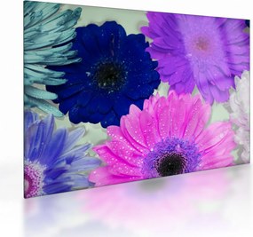 Tablou pe sticlă cu flori colorate (70x50 cm)
