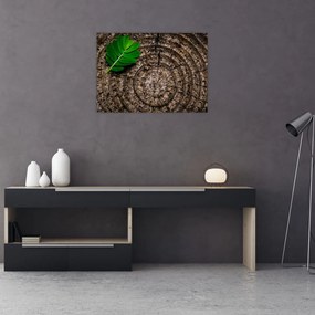 Tablou pe sticlă cu frunză pe trunchi de copac (70x50 cm)