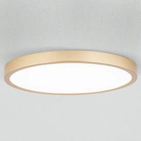 Plafoniera LED moderna design slim Lero 30cm auriu mat