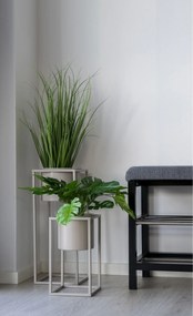 Monstera Minselia 2 (verde). Promo -10%. 1147174