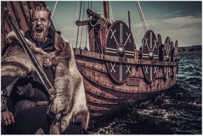 Tablou - Viking (90x60 cm)