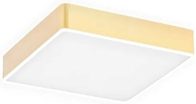 Plafoniera LED moderna ATLANTIS 25x25cm