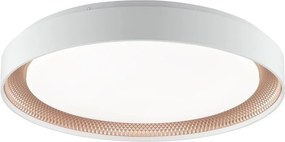 Brilliant - Plafonieră LED dimabilă WALDO LED/36W/230V alb/aur roz + telecomandă