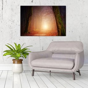 Tablou cu pădurea toamna în ceață (90x60 cm)
