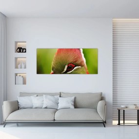 Tablou cu pasărea colorată (120x50 cm), în 40 de alte dimensiuni noi
