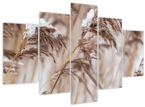 Tablou - Tei (150x105 cm)