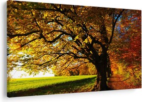 Tablou cu toamna (90x60 cm)