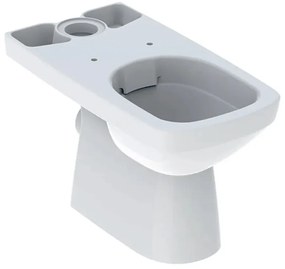 Vas WC pe pardoseala Geberit Selnova Square Rimfree alb lucios