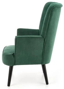 Fotoliu Delgado, verde/negru