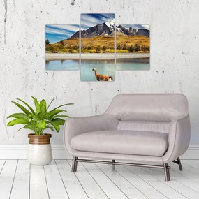 Tablou - Parcul Național Torres del Paine (90x60 cm)