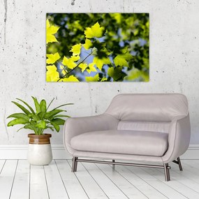 Tablou - frunze de arțar (90x60 cm)