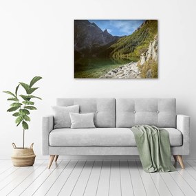 Pictură pe pânză Marine ochi tatry