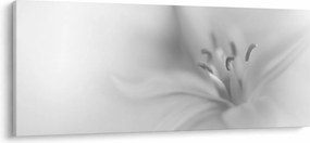 Tablou - Crin delicat (120x50 cm)