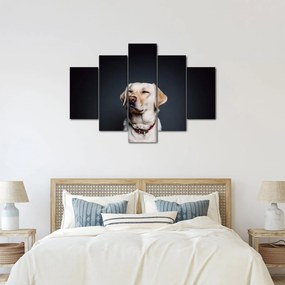 Tablou cu labrador (150x105 cm)