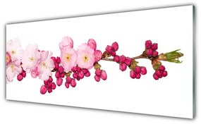 Tablou pe sticla Flower Branch Floral roz