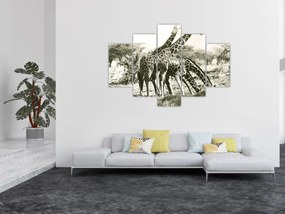 Tablou - Girafe, de epocă (150x105 cm)