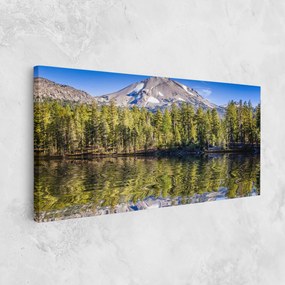 Tablou Canvas, 50x100cm, Dormitor si Living, Peisaje, Lacuri, Green Tree Lake