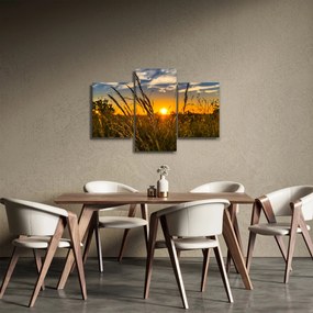 Tablou cu câmp în apus de soare (90x60 cm)