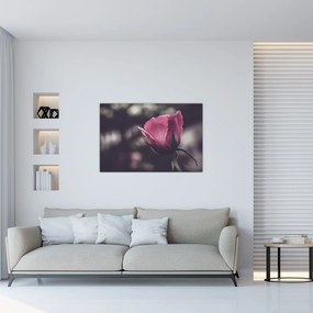 Tablou - Detaliu florii de trandafir (90x60 cm)