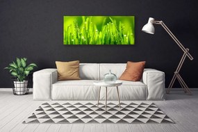 Tablou pe panza canvas Weed Natura verde