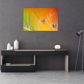 Tablou cu picături pe plantă (90x60 cm)